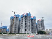 2021年11月工程進(jìn)度