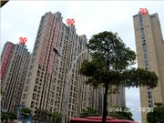 2015年1月工程進度