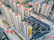 2020年5月工程進(jìn)度