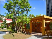 2017年8月工程實景圖