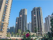 2019年11月工程進(jìn)度