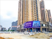 2017年4月工程進(jìn)度