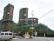 2019年3月15日工程進度