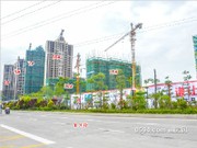 2017年6月工程進(jìn)度