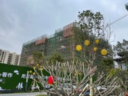 2023年2月工程進(jìn)度