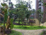 2014年5月小區(qū)實(shí)景