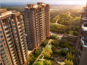 項(xiàng)目效果圖