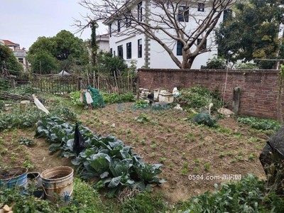 石頂小區(qū)(延壽山莊別墅)D區(qū)  : 南北通透，明廚明衛(wèi)，采光充 -莆田二手房