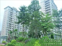 工程進(jìn)度圖