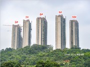 2019年7月工程進(jìn)度