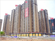 6月初實(shí)景圖