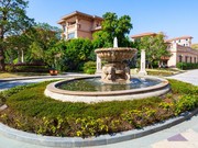 項(xiàng)目實(shí)景圖