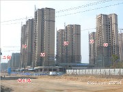 2015年2月工程進(jìn)度