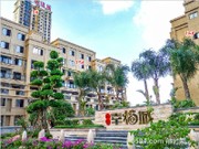 2016年5月工程進(jìn)度圖