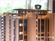 保利金香檳沙盤