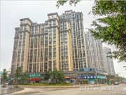 2016年3月工程進度實景圖