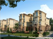 項(xiàng)目效果圖