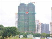 2015年11月19日工程進度