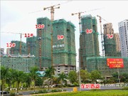 2015年11月19日工程進(jìn)度