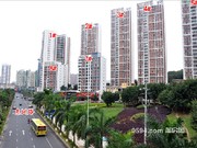 2015年11月實(shí)景圖