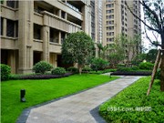 保利香檳國際小區(qū)實景