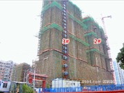 2015年2月5日工程進(jìn)度