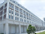 工程進度實景圖