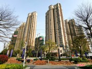 2020年3月25日工程進(jìn)度