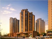 項(xiàng)目效果圖