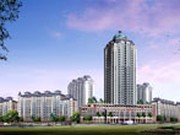 項(xiàng)目透視