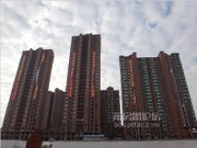 2014年12月工程進度