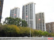 2019年4月3日工程進度