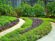 2016年5月20日工程進(jìn)度