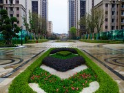 2019年3月6日工程進(jìn)度