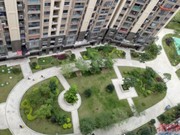 小區(qū)實(shí)景