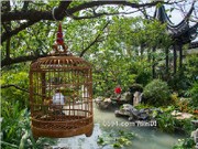 園林實(shí)景圖