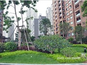 2015年9月小區(qū)環(huán)境