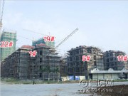 工程進(jìn)度圖