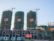 2018年11月工程進(jìn)度