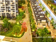 保利金香檳沙盤