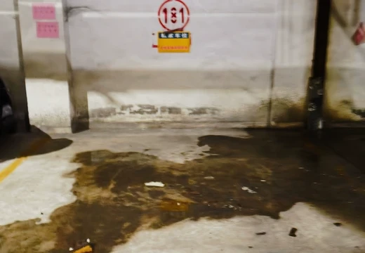 莆田市城廂區(qū)龍橋辦龍橋居委會(huì)后山西路84號(hào)1#車位181的房地產(chǎn)