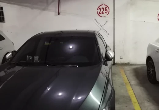 莆田市城廂區(qū)龍橋辦龍橋居委會(huì)后山西路84號(hào)1#車(chē)位225的房地產(chǎn)