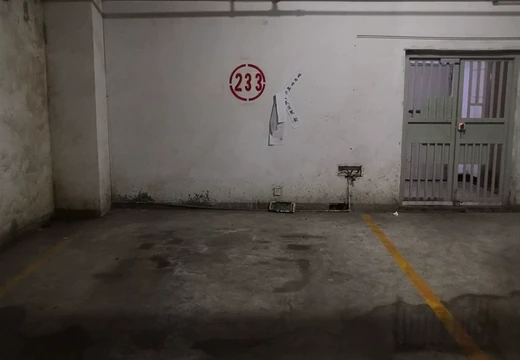 莆田市城廂區(qū)龍橋辦龍橋居委會(huì)后山西路84號(hào)1#車(chē)位233的房地產(chǎn)