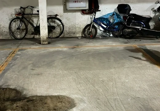 莆田市城廂區(qū)龍橋辦龍橋居委會(huì)后山西路84號(hào)1#車位109的房地產(chǎn)