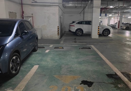 坐落在仙游縣鯉城街道學府東路1588號地下室地下1層車位201號（詳見清單1）