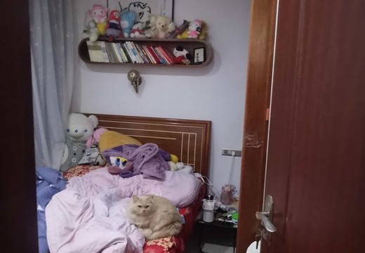 位于仙游縣鯉南鎮(zhèn)溫泉東路388號(hào)18號(hào)樓2梯606室的房產(chǎn)及相應(yīng)的土地使用權(quán)