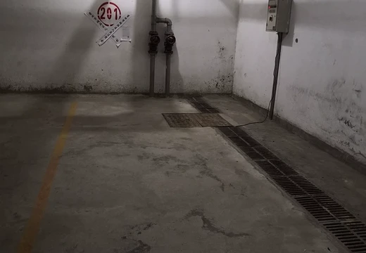 莆田市城廂區(qū)龍橋辦龍橋居委會(huì)后山西路84號(hào)1#車位201的房地產(chǎn)