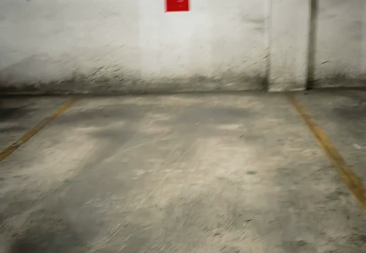 莆田市城廂區(qū)龍橋辦龍橋居委會后山西路84號1#車位172的房地產(chǎn)