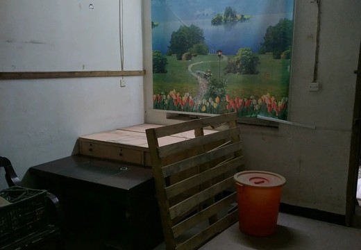 坐落莆田市城廂區(qū)鳳凰山街道南門西路422號6梯112室的房地產