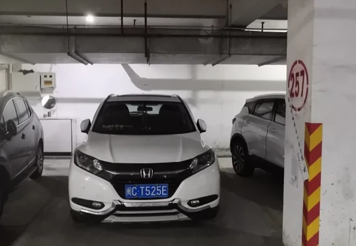 莆田市城廂區(qū)龍橋辦龍橋居委會(huì)后山西路84號1#車位257的房地產(chǎn)